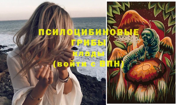 гашик Магадан