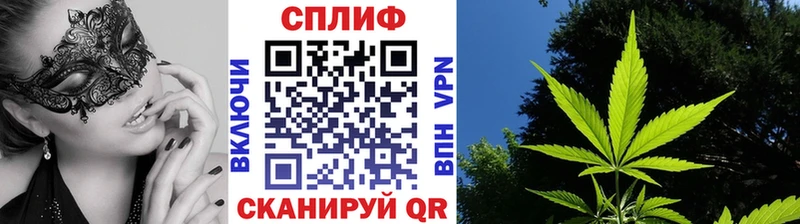 купить цена Нижний Ломов Бошки марихуана план